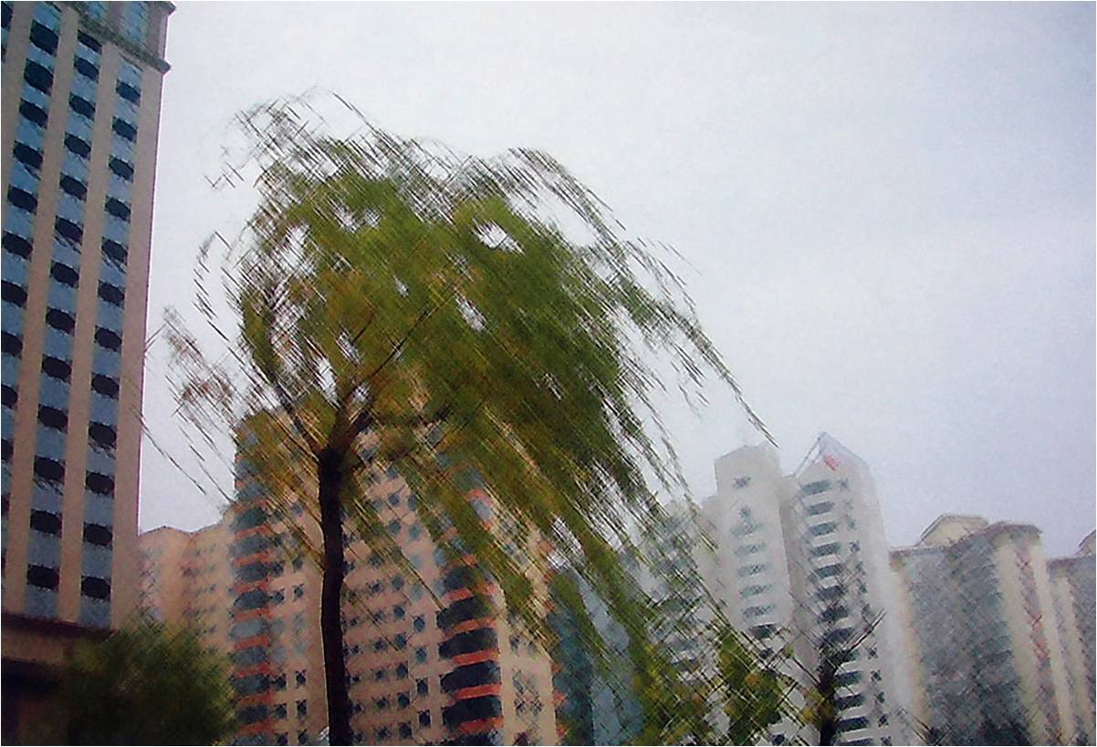 天气 (06),绘本,绘本故事,绘本阅读,故事书,童书,图画书,课外阅读